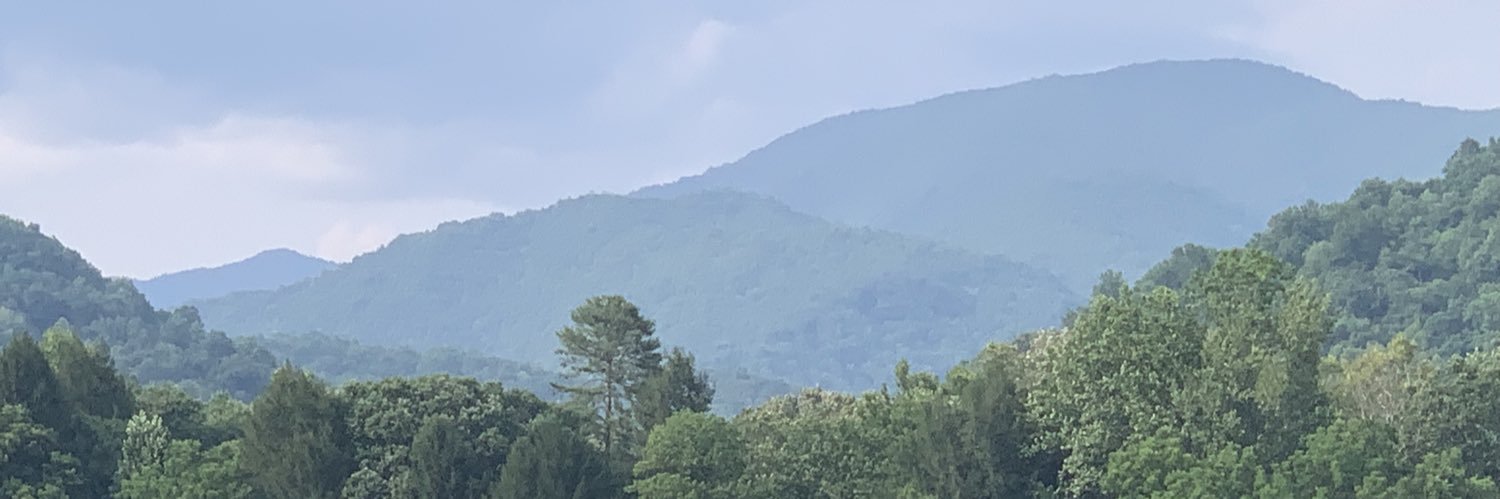 ferallongevity's profile banner image