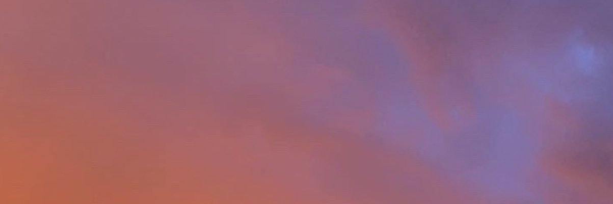 tajjreed's profile banner image