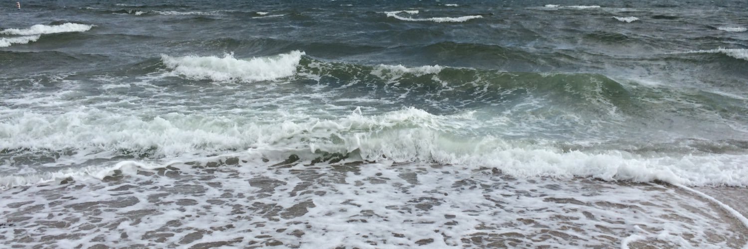 MaxriaXV's profile banner image