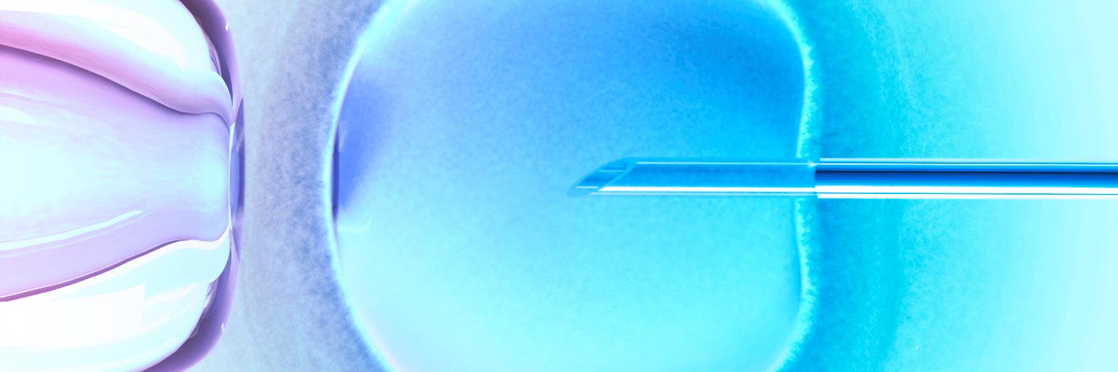 KARMAIVF's profile banner image