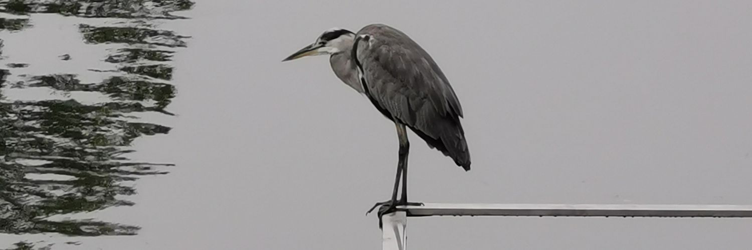 BernotJan's profile banner image