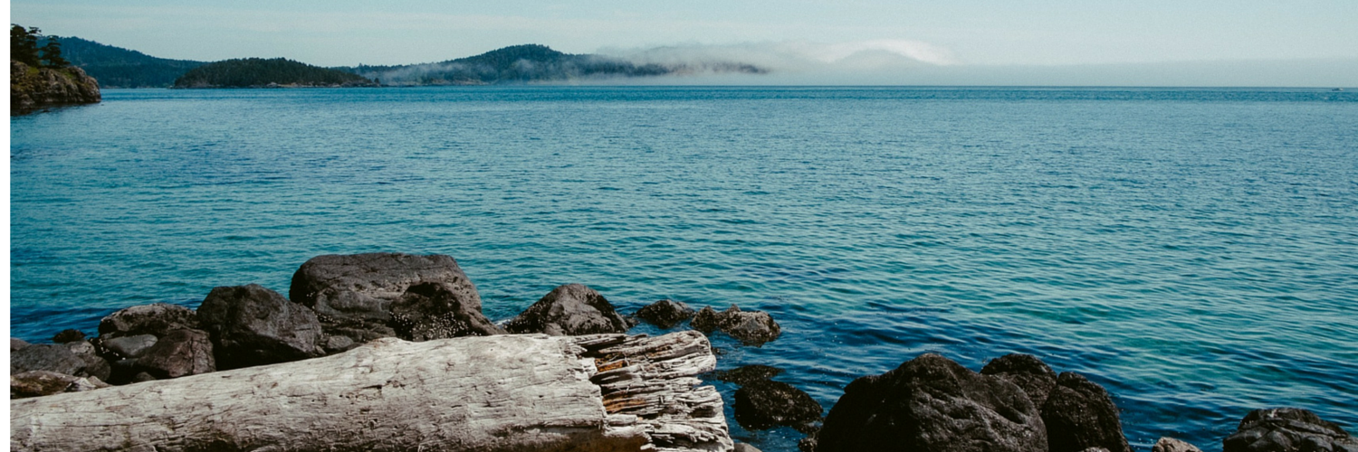 Andrew R. Lewin banner