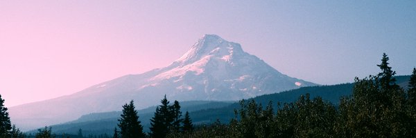 ThePythonDaily Profile Banner