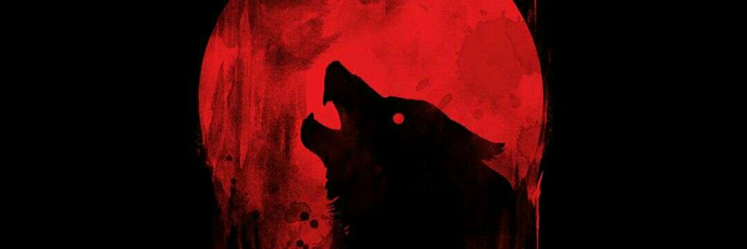 SuhDude617's profile banner image