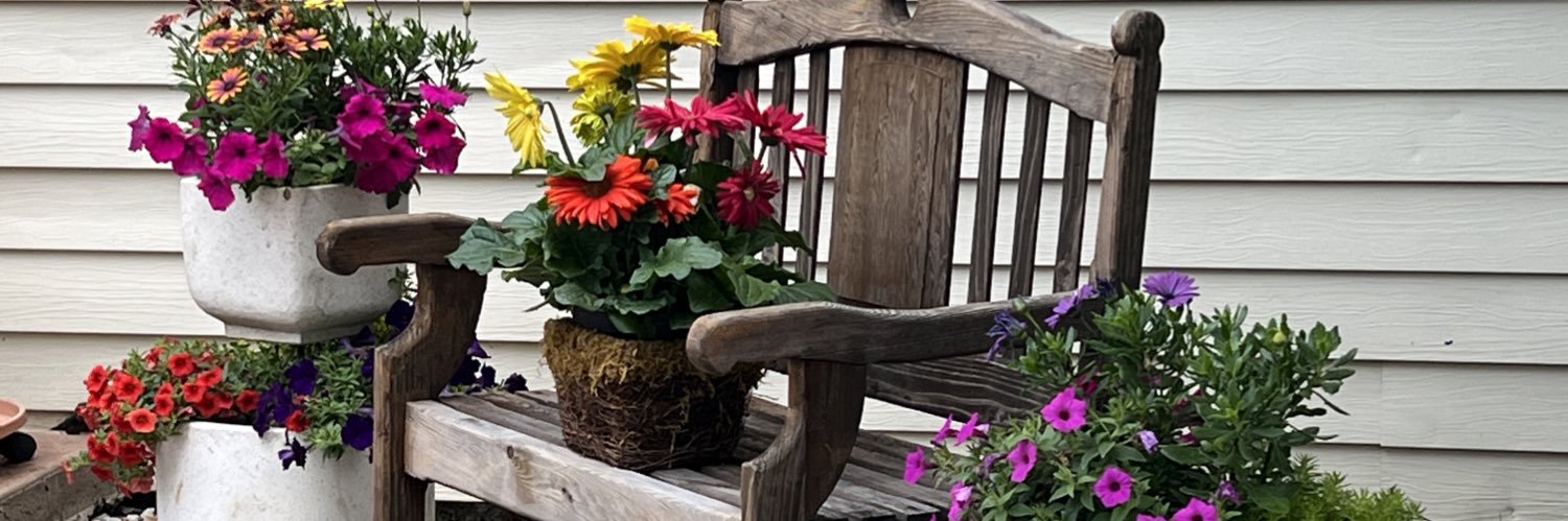 Photomickey's profile banner image
