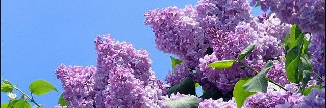 리 ⛴️🔥 banner