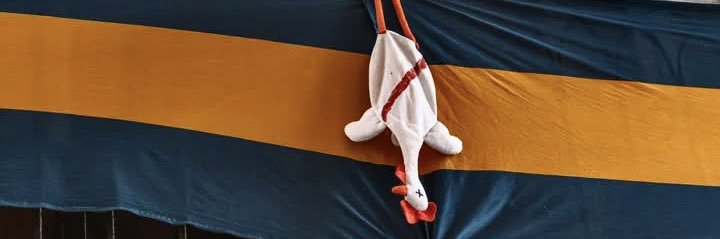 pipi 🇸🇪 banner