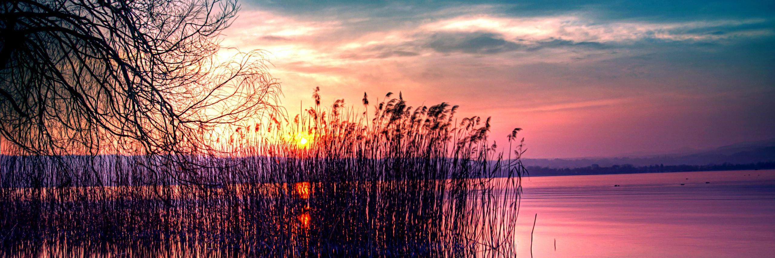 jmichelle728's profile banner image