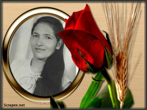 morelvacontrera's profile banner image