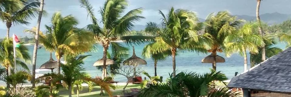 Vivek Venugopalan banner