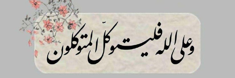 Ali Reza's banner