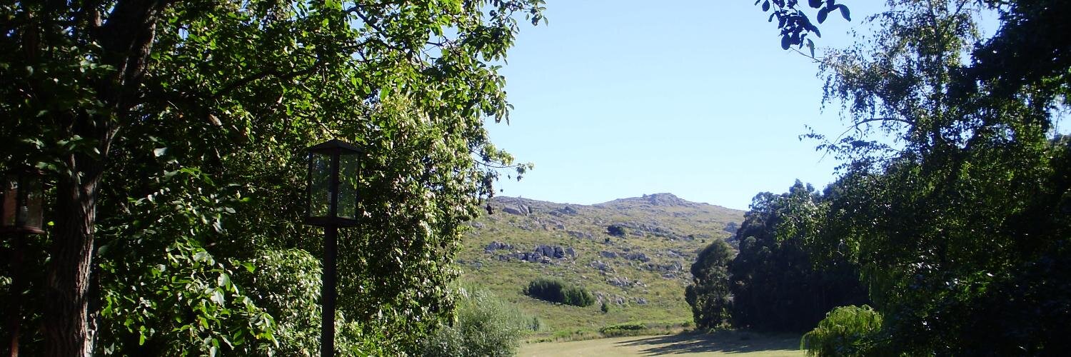 natuela's profile banner image