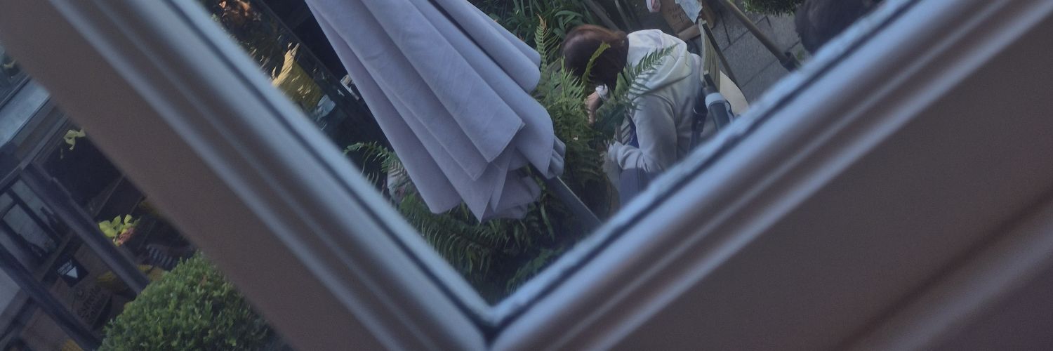 Lindibiris's profile banner image