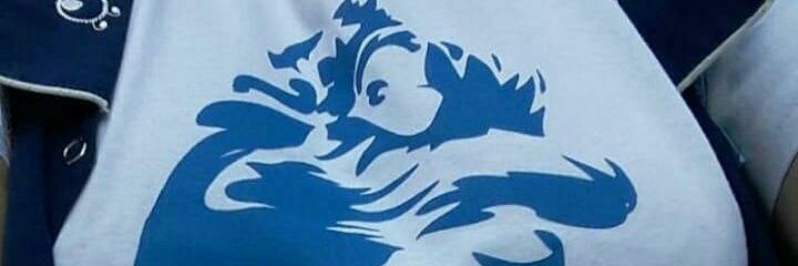 sandraase's profile banner image
