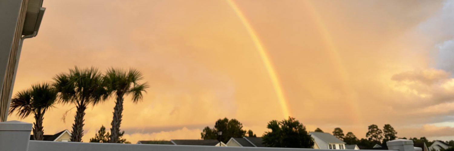 mlindwall's profile banner image