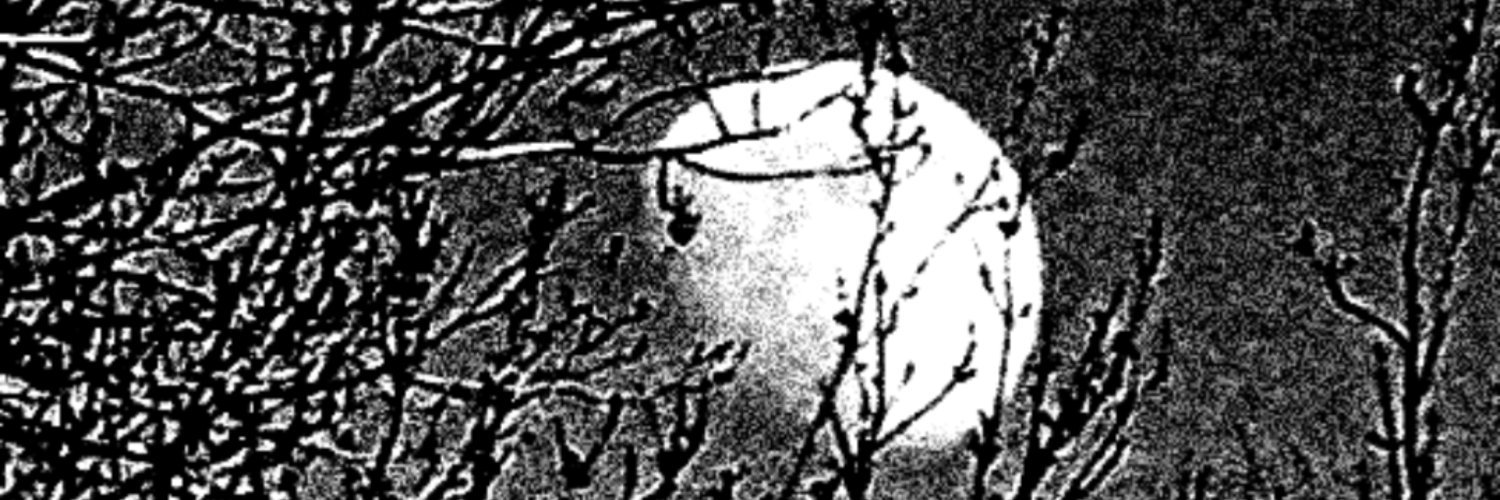 moonbloom's profile banner image