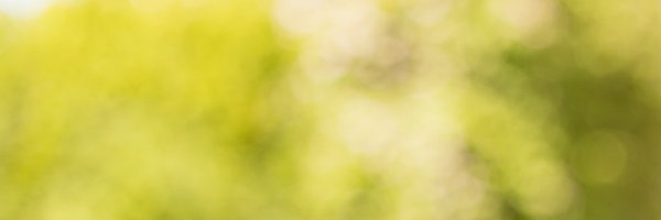 mstrohm Profile Banner