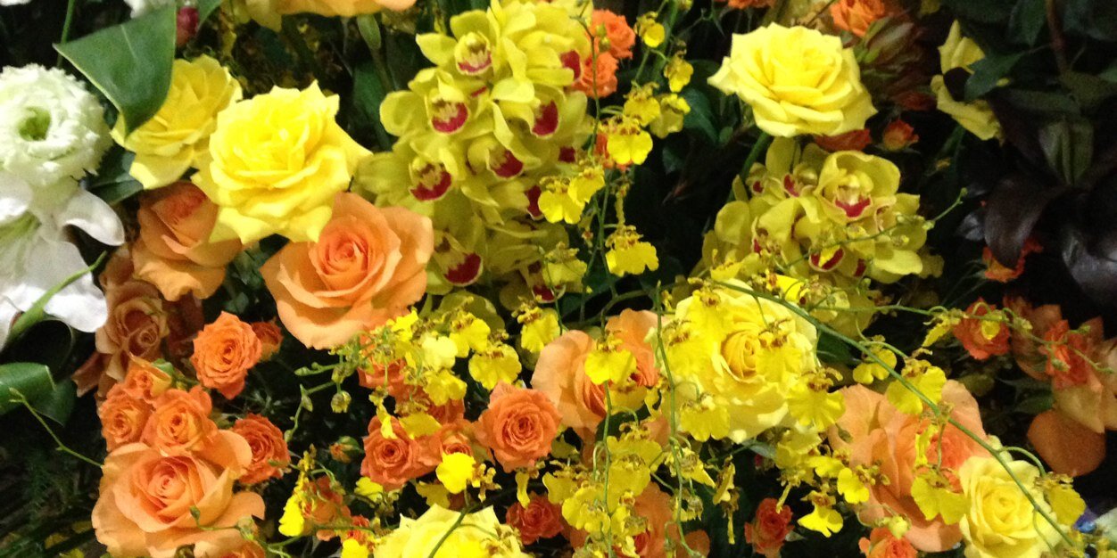 a6y2a5's profile banner image