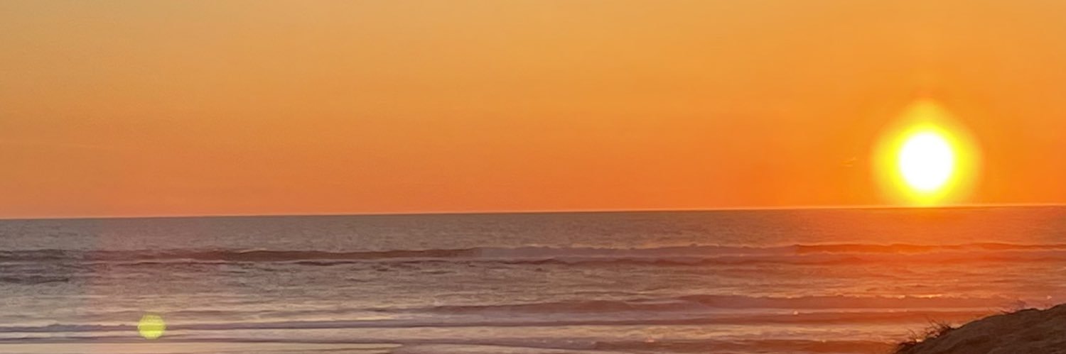 lysscdl's profile banner image
