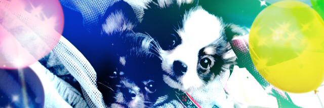 keis_live's profile banner image