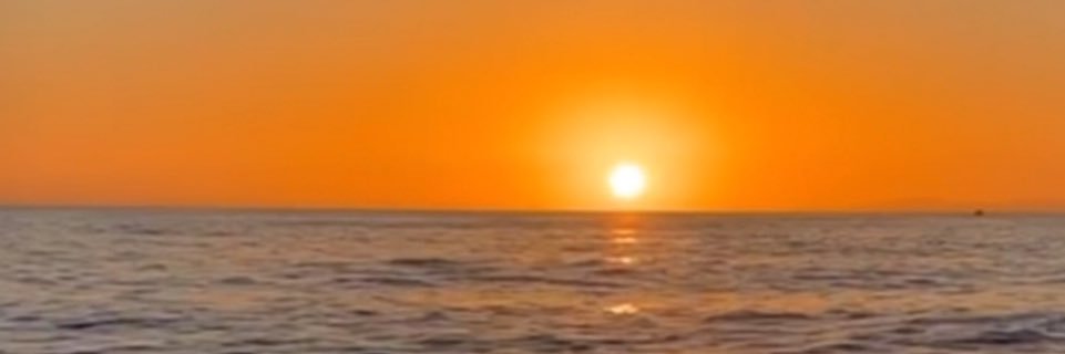 colormejodi's profile banner image