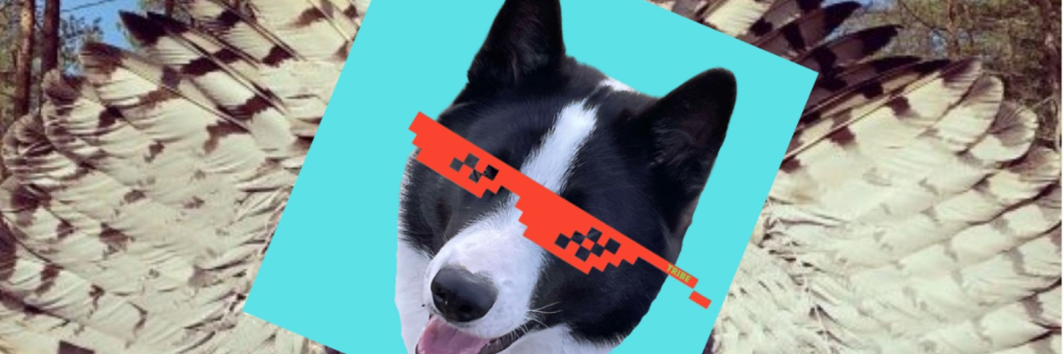 alanpafka's profile banner image