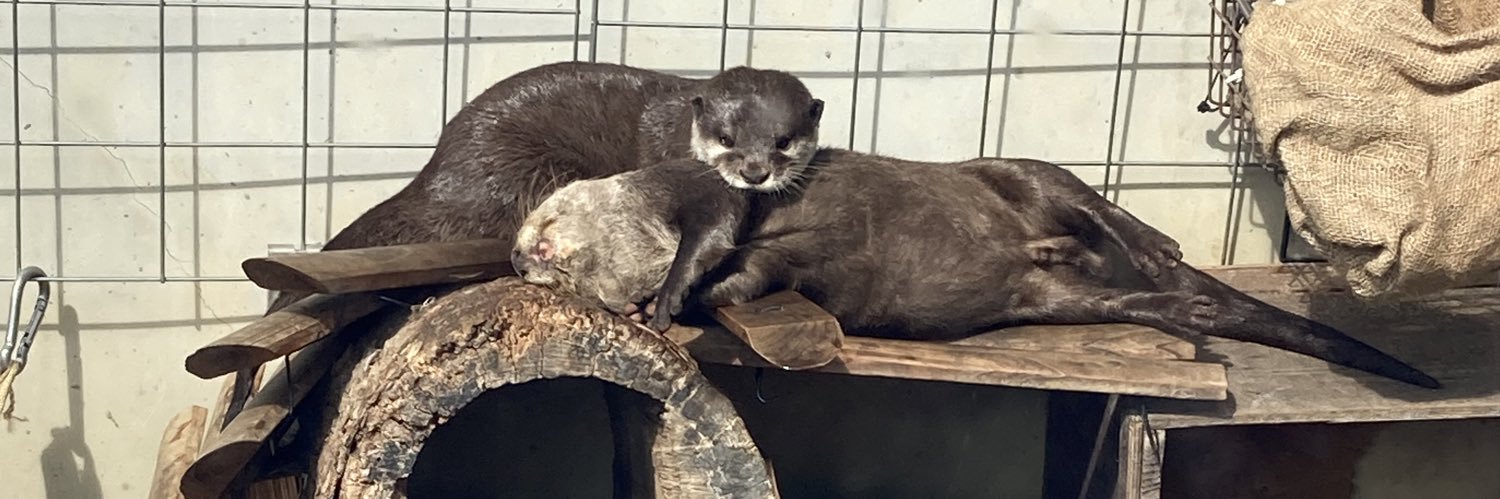 野村祐貴/野村爆睡 banner