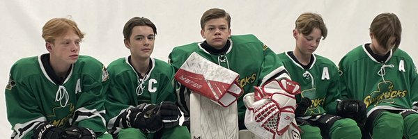 Stein77 Profile Banner