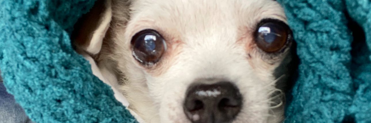 SammaRdz's profile banner image