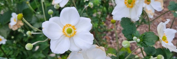 _the_lbb Profile Banner