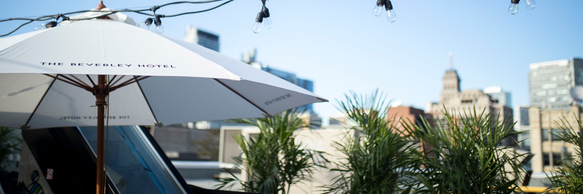 levelhotels's profile banner image