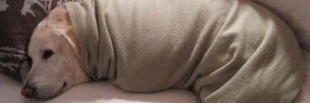 leonsXaccount's profile banner image
