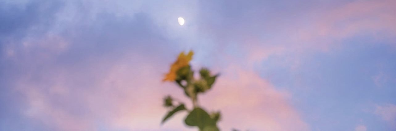 313ftimwy's profile banner image
