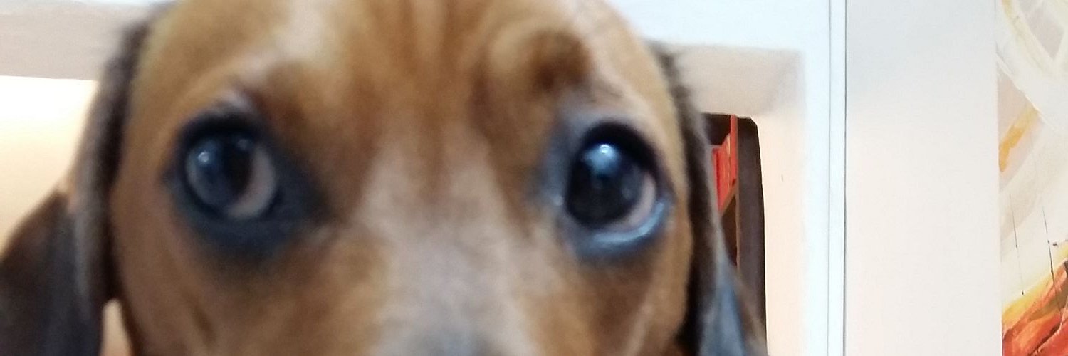 marucba's profile banner image