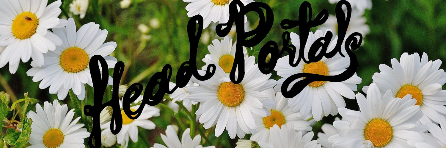 Head_Portals's profile banner image