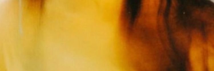 TeejayRazzy's profile banner image