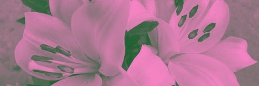 krssn._2310 ◡̈ banner