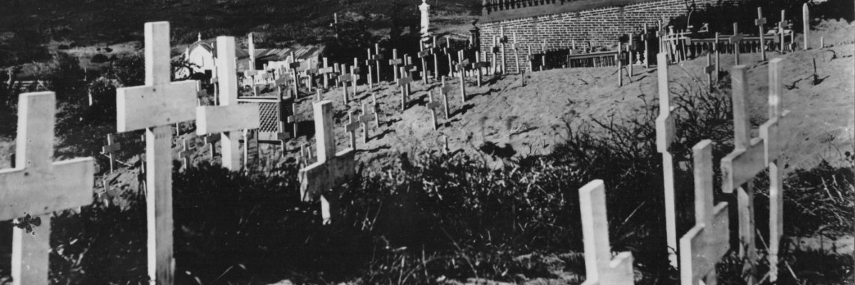 Beth Winegarner, now on Bluesky and Mastodon banner