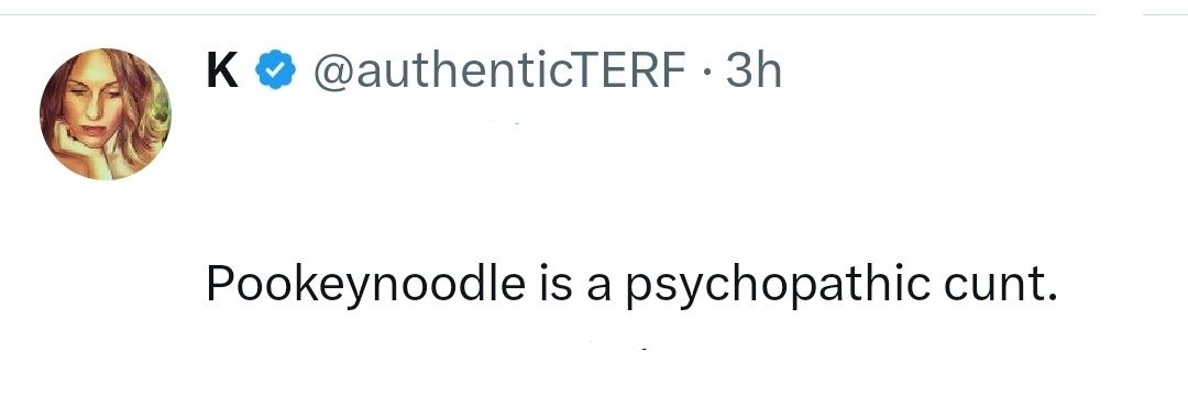 Pookeynoodle ♀️ banner