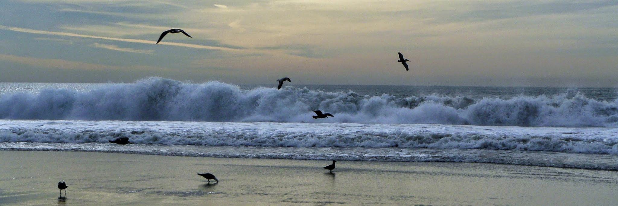 Compelling Talks banner