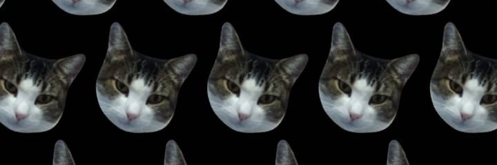 BarbaraRosaa__'s profile banner image
