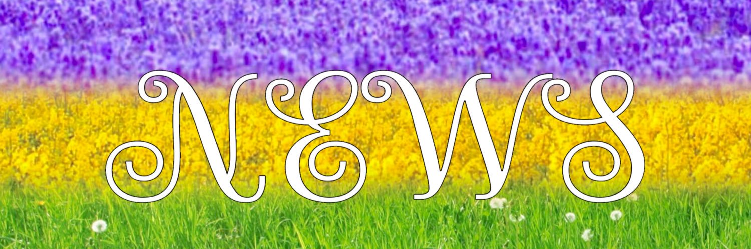 mittin104's profile banner image