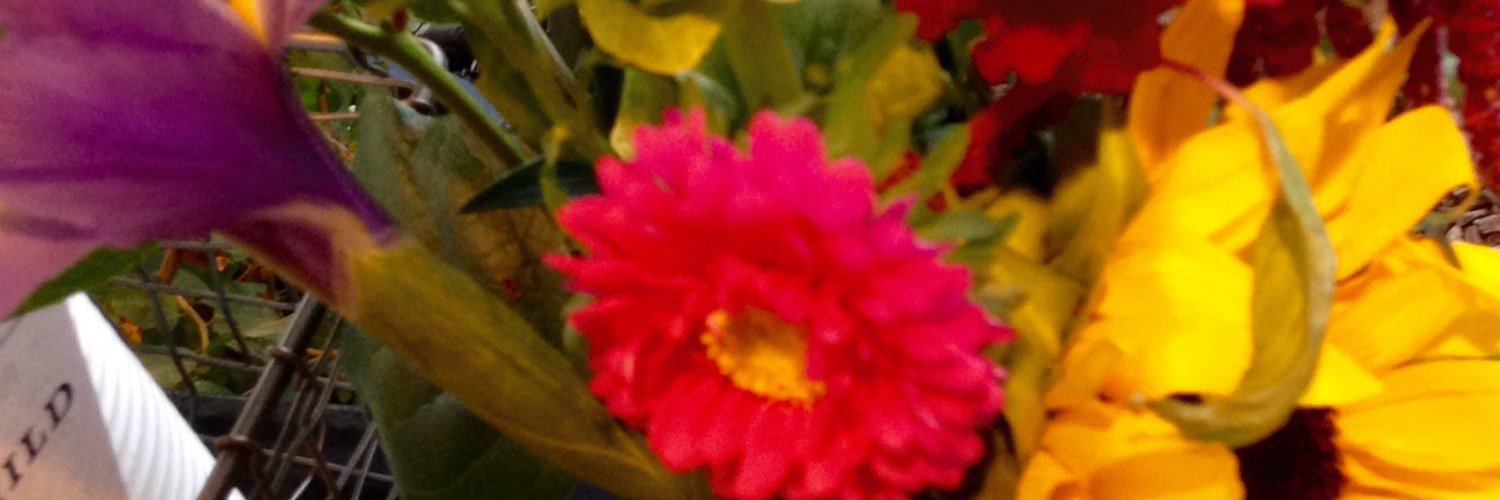 Christine Goodfriend banner