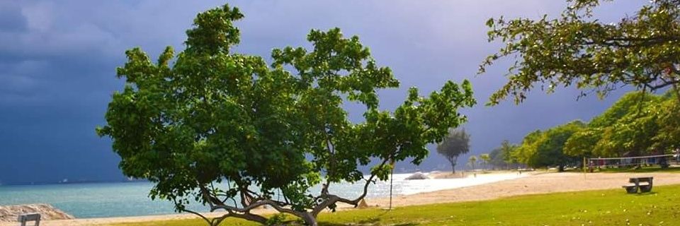 davegaurav's profile banner image
