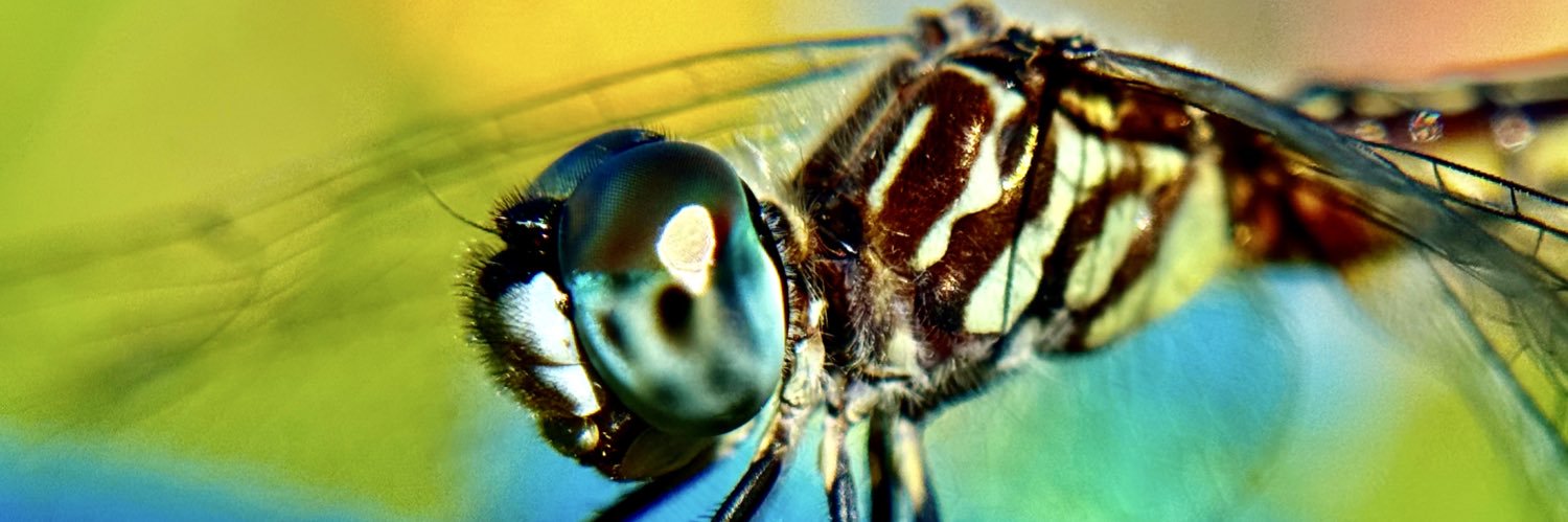 Mother Nature ✨🌿 banner