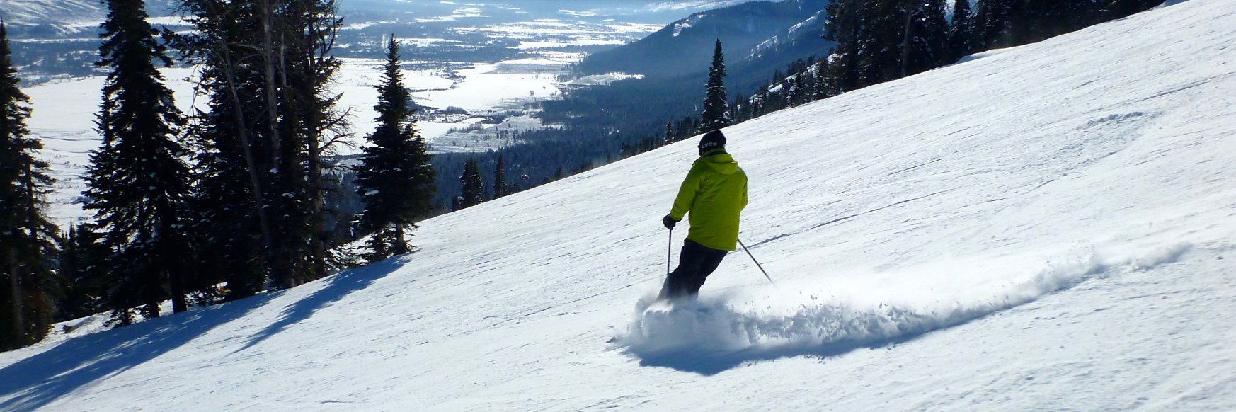 James Panther banner