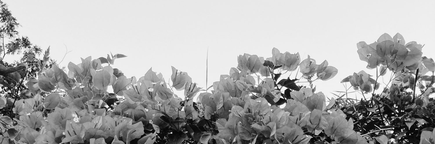 maisgp's profile banner image
