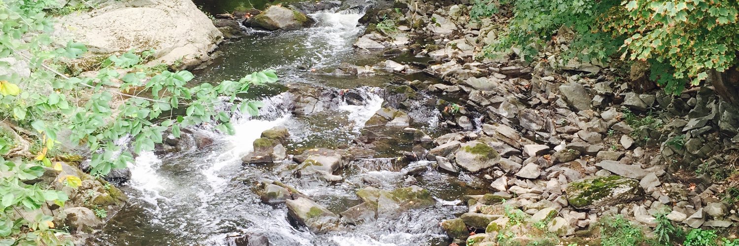 Hansbergington banner