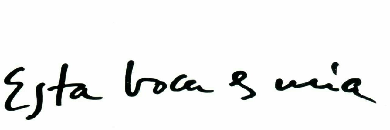 viconemoretime's profile banner image