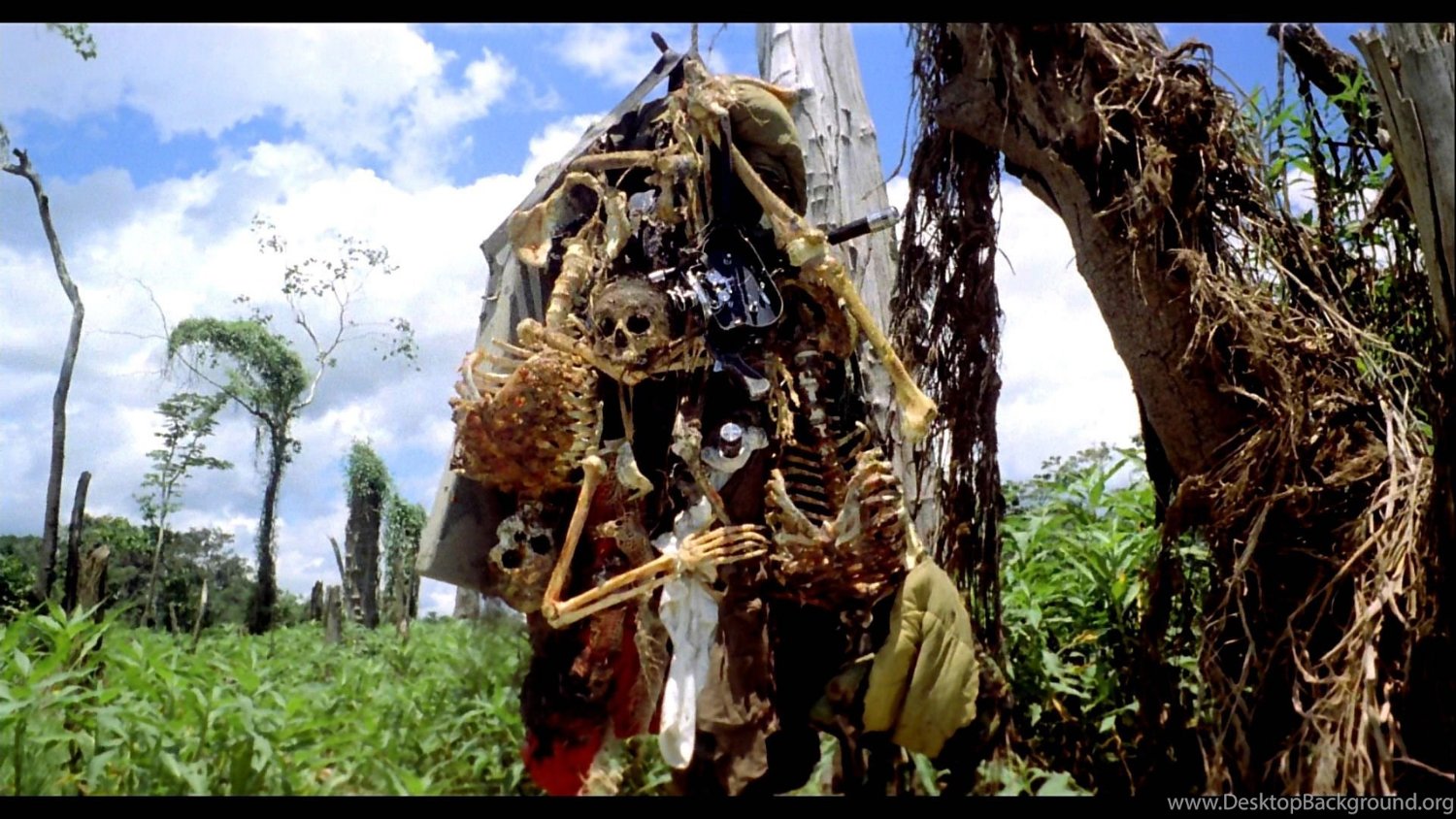 Nathan Wardinski banner